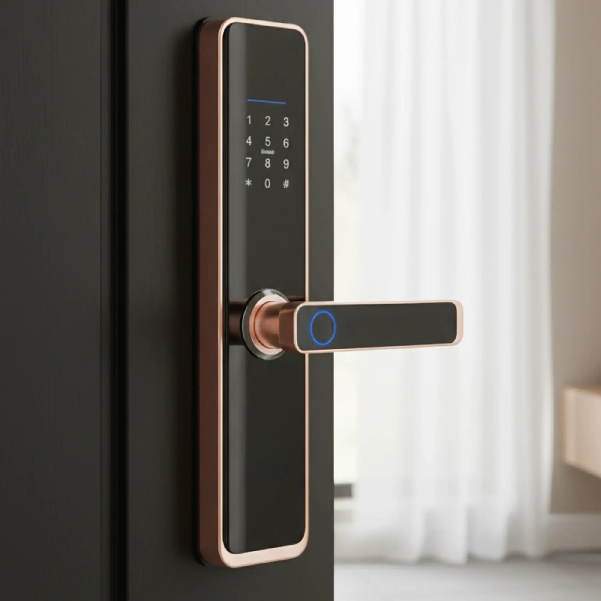 Έξυπνη κλειδαριά EY-688 με WiFi - view 8